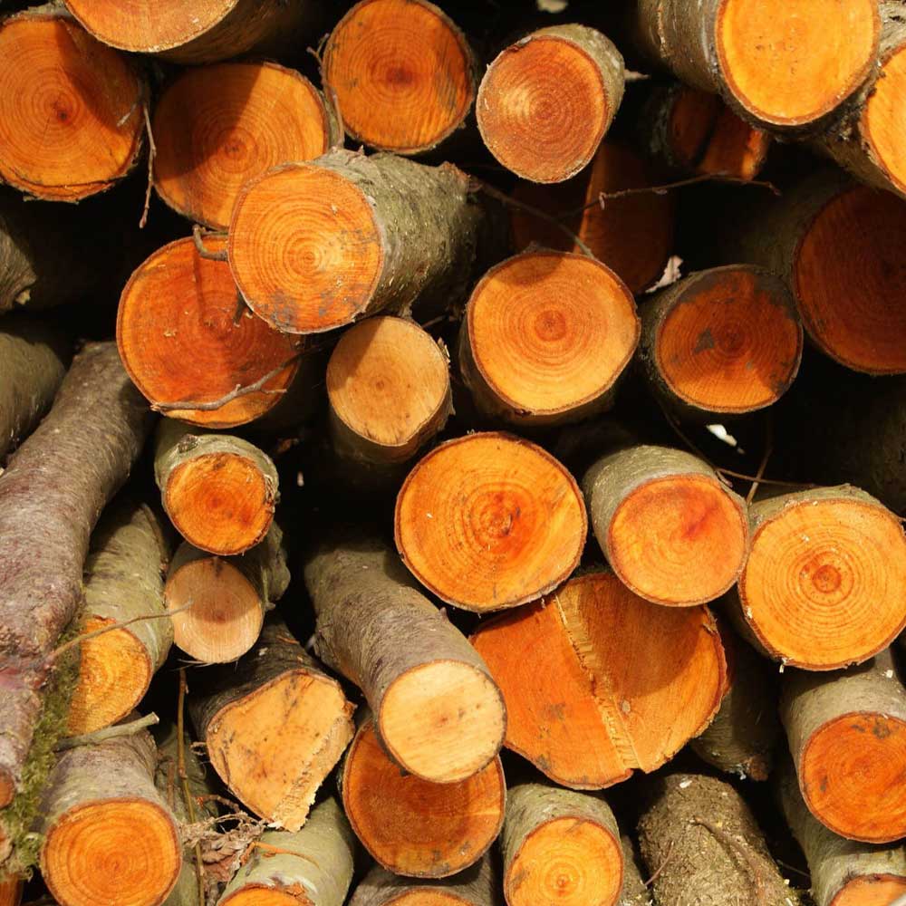 Купить дрова в е с доставкой, по у и области | Хворост